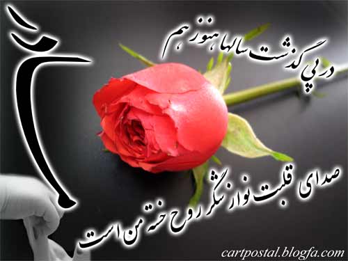 محمود کریمی ستاره فاطمیه